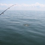 AOH-Chesapeake-Bay-035