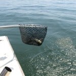 AOH-Chesapeake-Bay-036